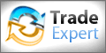 Professional Traffic Trade Script